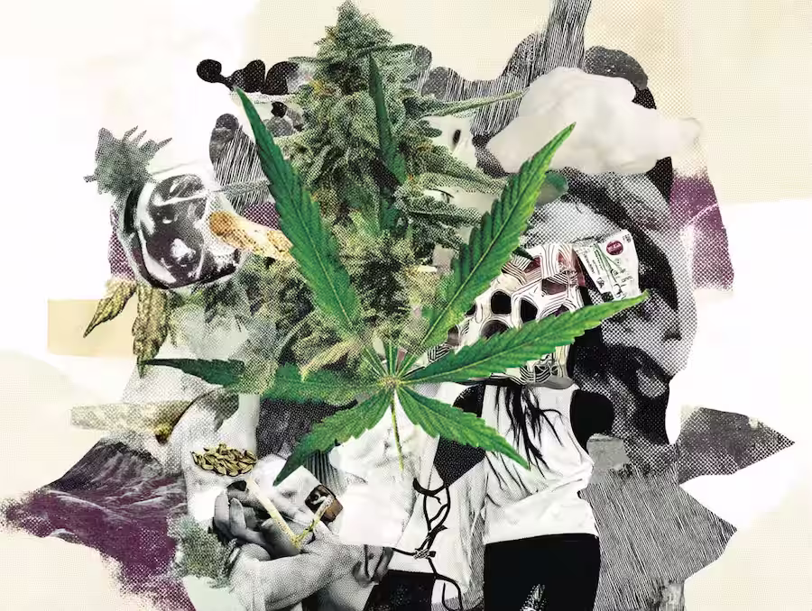 Marijuana_to_Reduced_Obesity_657