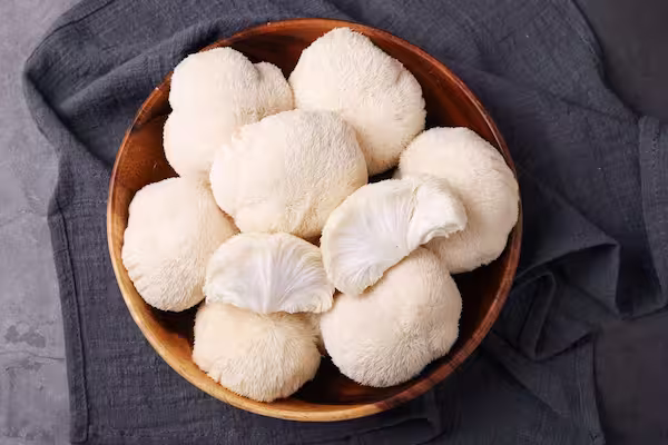 New Study Reveals: Mushrooms Enhance Memory By Stimulating Neuron Growth. 4 lions mane mushrooms