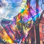 Harvard-University-Embarks-on-Groundbreaking-Interdisciplinary-Study-on-Psychedelics