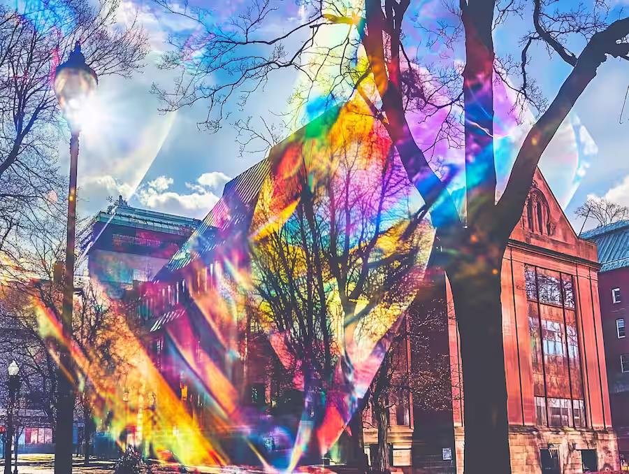 Harvard-University-Embarks-on-Groundbreaking-Interdisciplinary-Study-on-Psychedelics