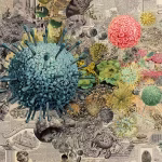 Primordial Microbes Discovered—A 2-Billion-Year Survival Story