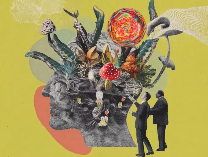 UC-Berkeley-Center-for-the-Science-of-Psychedelics