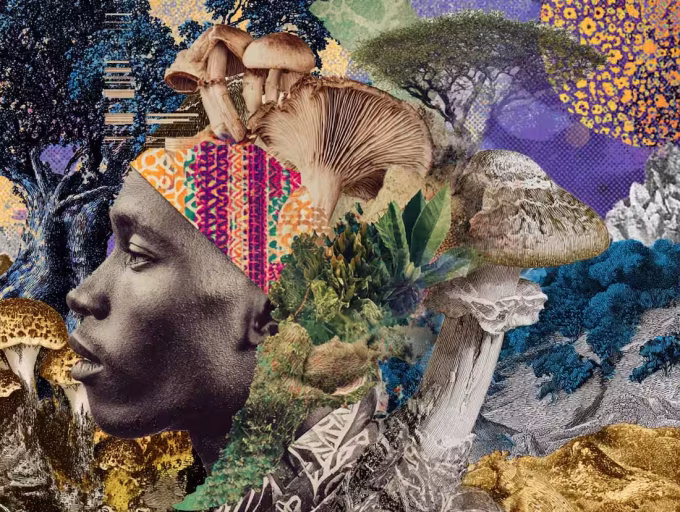 Scientists-Identify-Two-New-Psychoactive-Mushroom-Species-in-Africa