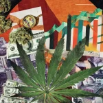 The Green Eagle - Analyzing the Marijuana Revenue Boom Across the United States