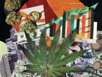 The Green Eagle - Analyzing the Marijuana Revenue Boom Across the United States