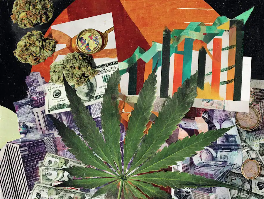 The Green Eagle - Analyzing the Marijuana Revenue Boom Across the United States