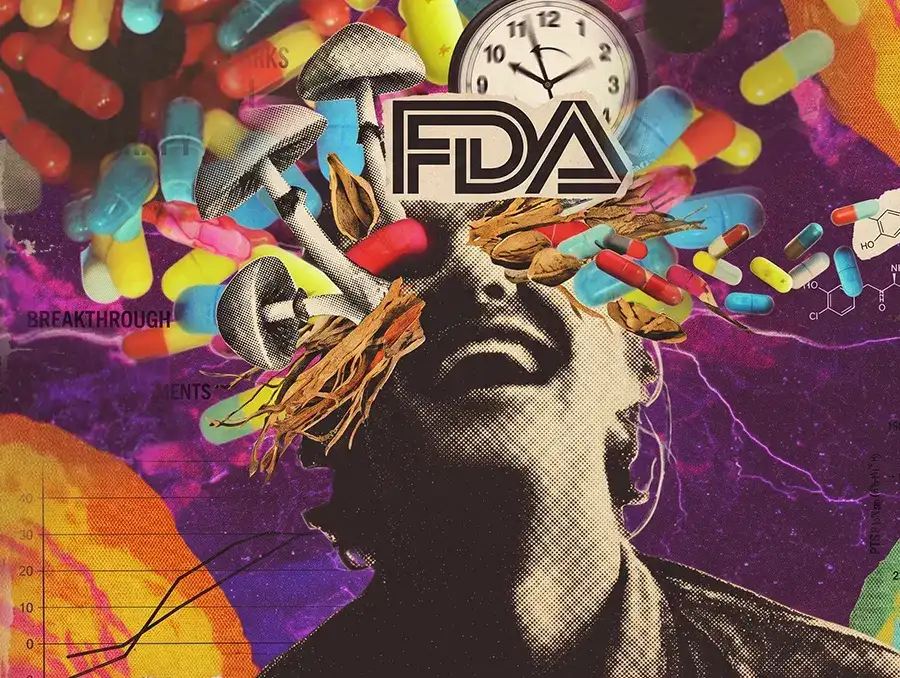 The Psychedelic Policy That Changes Everything
