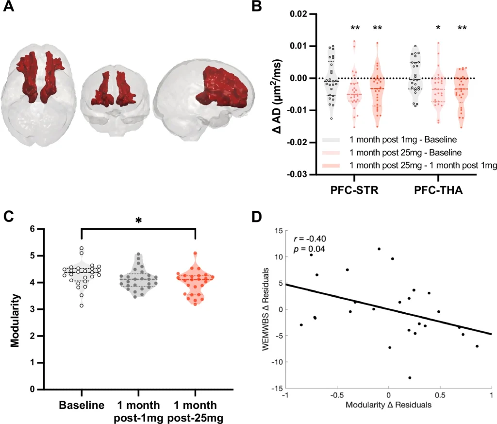 Scientists Tracked the Human Brain on Psilocybin and Discovered Lasting Anatomical Upgrades 5 Fig. 2: One-month post-25 mg psilocybin anatomical and functional brain changes.